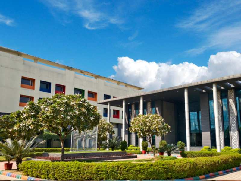 द विज़डम ट्री स्कूल: बच्चों को सही मूल्य, कौशल, बेहतर भविष्य तैयार करना ही लक्ष्य 