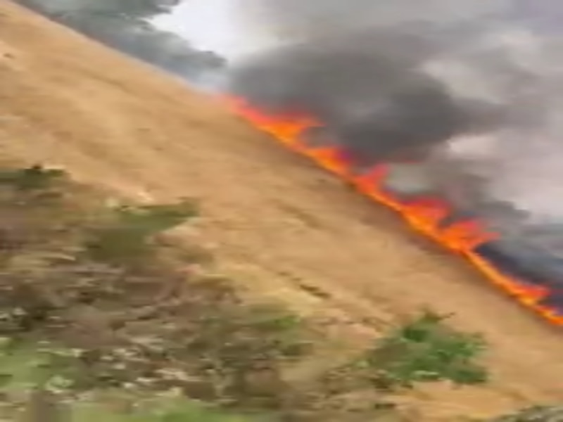 झज्जर में शॉर्ट सर्किट से बरपा कहर, राख हुई 25 एकड़ से ज्यादा गेहूं की फसल