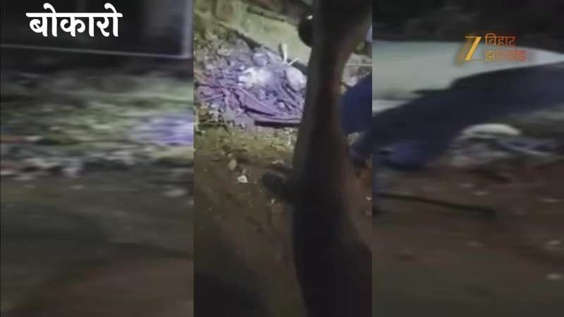 VIDEO: फन फैलाए बैठा था नाग, बिलों के जाल में फंसी रेस्क्यू टीम, फिर ऐसे बचाई गई जान