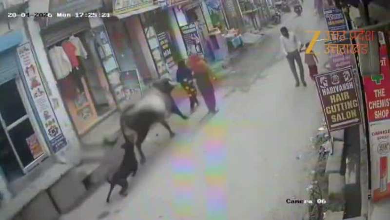 Watch Video: तूफान की तरह सांड ने महिलाओं को उड़ाया! ग्रेटर नोएडा से वीडियो वायरल