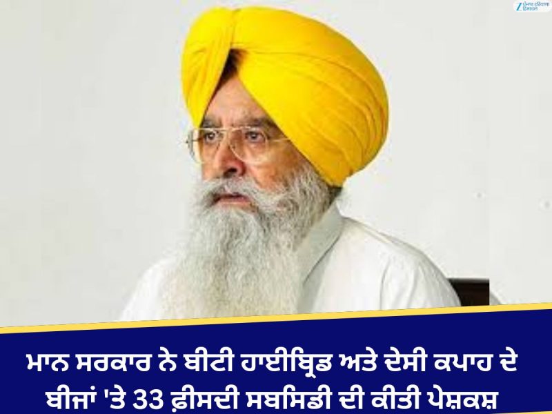 ਮਾਨ ਸਰਕਾਰ ਨੇ ਬੀਟੀ ਹਾਈਬ੍ਰਿਡ ਅਤੇ ਦੇਸੀ ਕਪਾਹ ਦੇ ਬੀਜਾਂ 'ਤੇ 33 ਫ਼ੀਸਦੀ ਸਬਸਿਡੀ ਦੀ ਕੀਤੀ ਪੇਸ਼ਕਸ਼