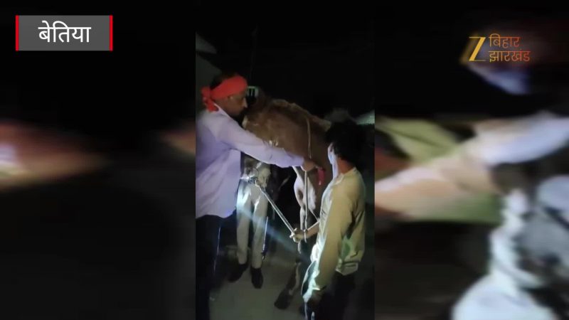 VIDEO: घोड़ा UP से हौले-हौले बिहार पहुंचा रहा था शराब, फिर हो गया तस्करों के साथ खेल