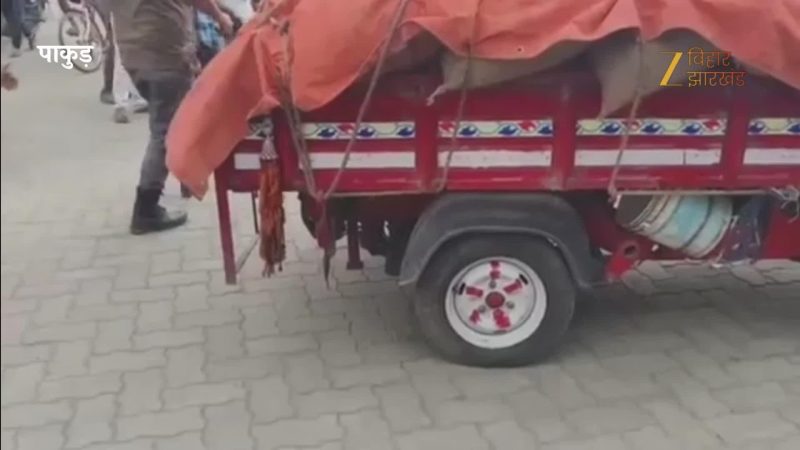आखिर ऑटो के इंजन तक कैसे पहुंच गया जहरीला सांप? देखें सर्पमित्र ने कैसे किया रेस्क्यू