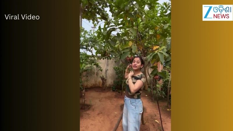 Video: ନିଜ ପ୍ରିୟ ଫଳ ବିଷୟରେ ଏମିତି କହିଲେ ଅଭିନେତ୍ରୀ ଏଲିନା