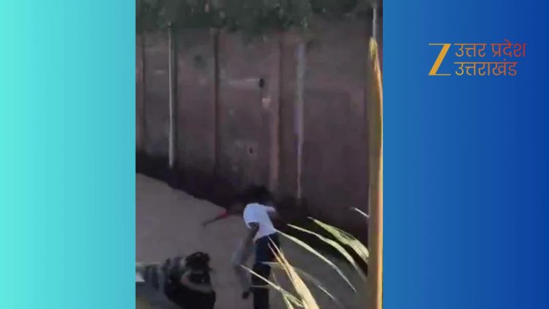 Watch Video: पिकनिक पर आई लड़कियों में छिड़ी 'महाभारत' मामूली बात पर हुआ था विवाद; वीडियो वायरल