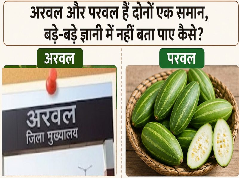 अरवल और परवल हैं दोनों एक समान, बड़े-बड़े ज्ञानी भी नहीं बता पाए कैसे?
