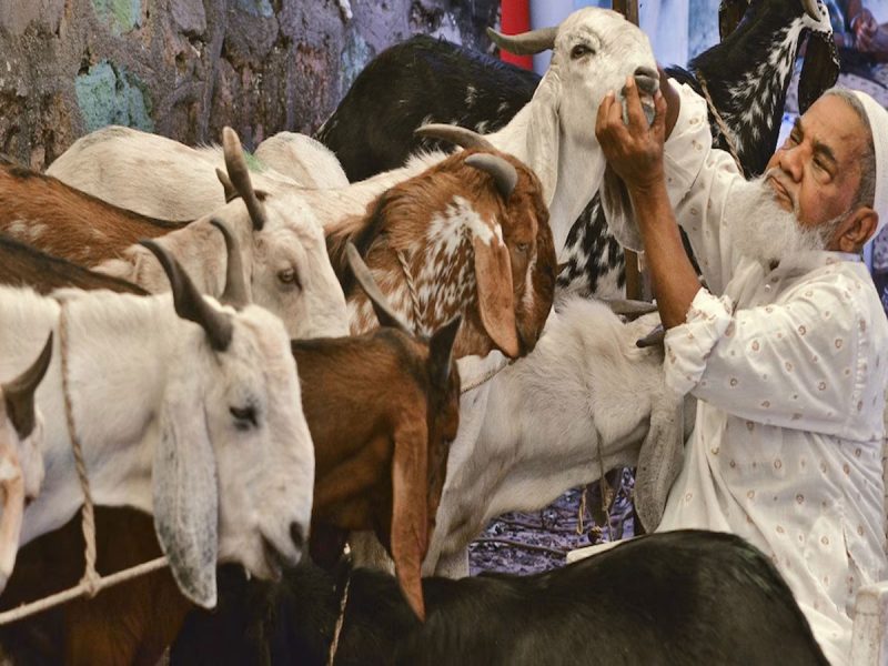 Bakrid 2026: भारत, पाकिस्तान समेत किन देशों में कब होगी बकरीद? जानें पूरी डिटेल