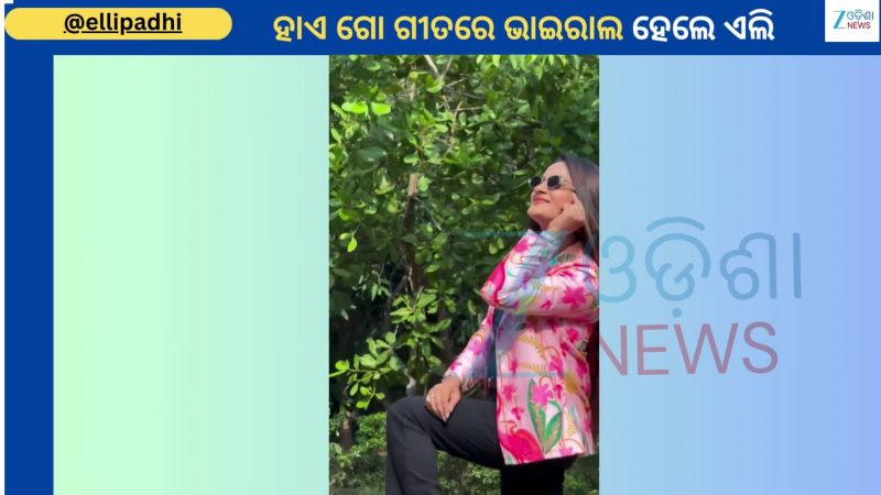 Elli Padhi Video: ଟ୍ରେଣ୍ଡିଂ ଗୀତ ହାଏ ଗୋ ଗୀତରେ ଭାଇରାଲ ହେଲା ଅଭିନେତ୍ରୀ ଏଲି ପାଢୀଙ୍କ ଭିଡିଓ