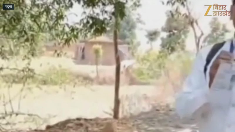 पेट्रोल और डीजल बचाने के लिए जनगणना करने घोड़े पर निकले सहायक शिक्षक मुन्ना प्रसाद गुप्ता पेट्रोल और डीजल बचाने के लिए जनगणना करने घोड़े पर निकले सहायक शिक्षक मुन्ना प्रसाद गुप्ता