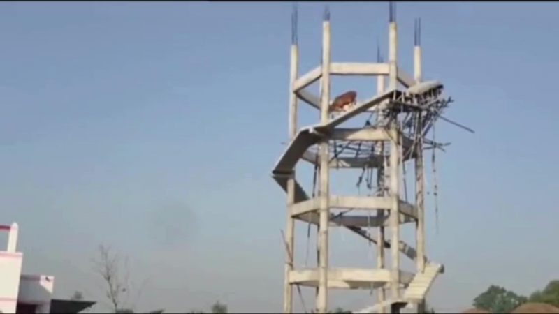Watch Video: टंकी पर चढ़ा सांड 70 फीट की ऊंचाई से गिरा, दर्दनाक हादसे पर ग्रमीणों में फूटा गुस्सा