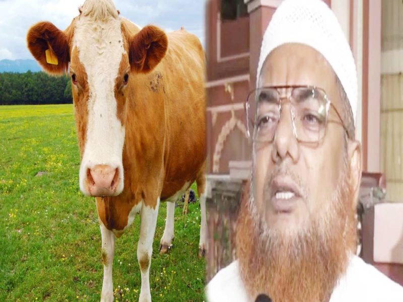 बकरीद से पहले बंगाल में गोहत्या पर बैन; मस्जिद के इमाम ने मुसलमानों से की बड़ी अपील