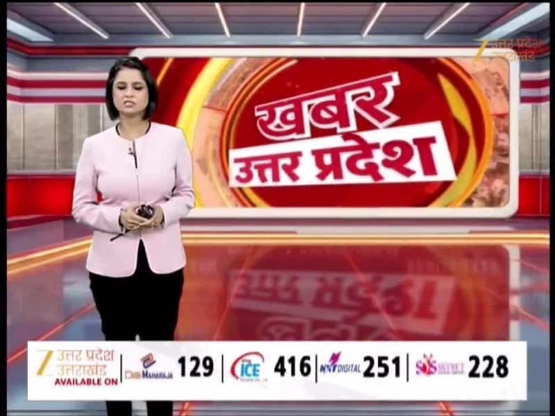 तैरते हुए बंदर का वीडियो देखा? नोएडा में भीषण गर्मी से राहत के लिए स्वीमिंग पूल में लगाई छलांग