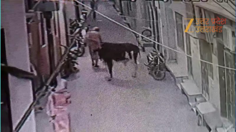 Watch Video: सांड ने बुजुर्ग को उठाकर जमीन पर पटका, CCTV में कैद हुई रोंगटे खड़े करने वाली घटना