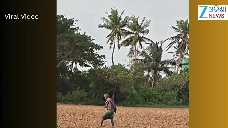 Video: ଏହି ବ୍ୟକ୍ତିଙ୍କ ପଛରେ ପଡିଲା କାଉ, ଗୋଡାଇ ଖୁମ୍ପିଲା... Video: ଏହି ବ୍ୟକ୍ତିଙ୍କ ପଛରେ ପଡିଲା କାଉ, ଗୋଡାଇ ଖୁମ୍ପିଲା...