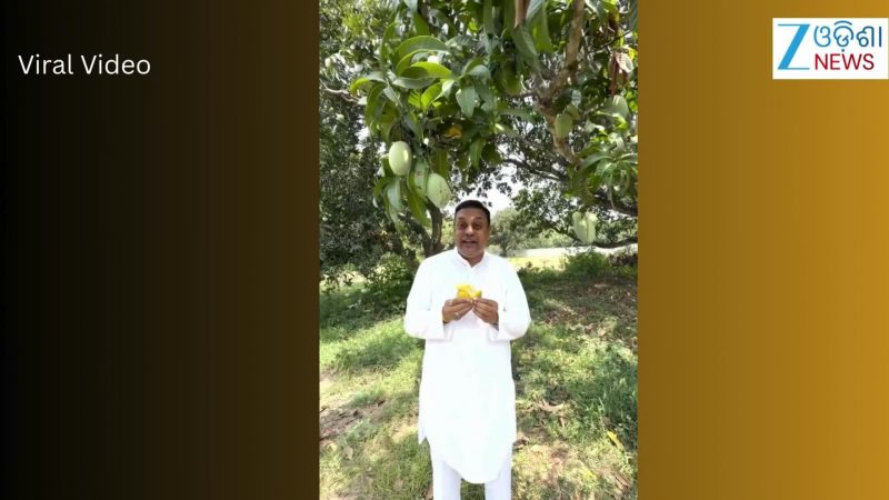 Video: ବଗିଚାରୁ ଭାଇରାଲ୍ ହେଲା ସାଂସଦ ସମ୍ୱିତ ପାତ୍ରଙ୍କ ଏହି ଭିଡିଓ Video: ବଗିଚାରୁ ଭାଇରାଲ୍ ହେଲା ସାଂସଦ ସମ୍ୱିତ ପାତ୍ରଙ୍କ ଏହି ଭିଡିଓ